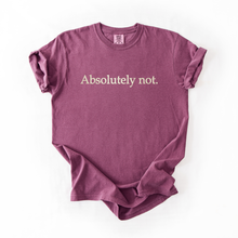 Absolutely Not embroidered tee — Berry