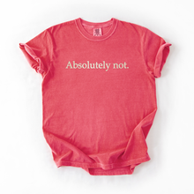 Absolutely Not embroidered tee — Watermelon