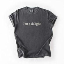 I'm a Delight embroidered t-shirt — Pepper