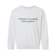 I'm Here. I'm Awake. Don't Push It. sweatshirt — Ash Grey