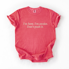 I'm Here. I'm Awake. Don't Push It. embroidered t-shirt — Watermelon