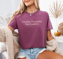 I'm Here. I'm Awake. Don't Push It. Embroidered T-shirt
