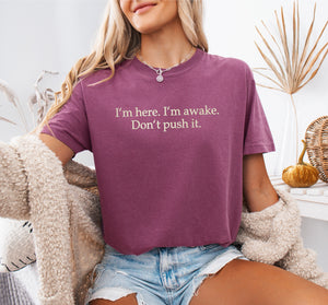 I'm Here. I'm Awake. Don't Push It. Embroidered T-shirt
