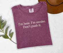 I'm Here. I'm Awake. Don't Push It. Embroidered T-shirt
