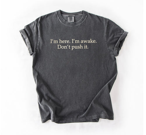 I'm Here. I'm Awake. Don't Push It. Embroidered T-shirt