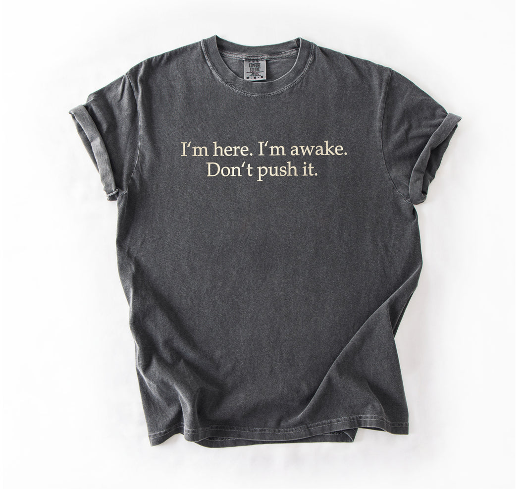 I'm Here. I'm Awake. Don't Push It. Embroidered T-shirt